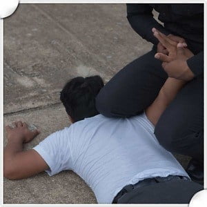 Resisting An Officer With Violence, F.S. 943.10 (1),(2),(3),(6),(7)(8),(9)