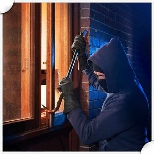 Before hiring a Robbery Defense Attorney, what should I know about: F.S. 812.13?