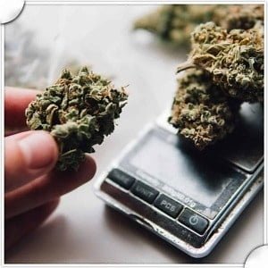 How would a West Palm Beach Marijuana Possession Attorney help me with a Sale, Manufacture, Delivery, and Possession with Intent to Sell Marijuana charge: F.S. 893.13(1)(A)(2)?