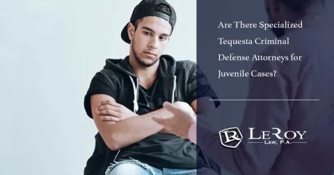 Are There Specialized Tequesta Criminal Defense Attorneys for Juvenile Cases?